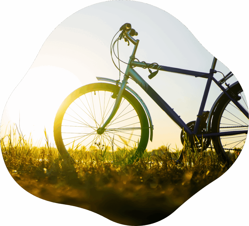 Blaues Trekkingrad auf grüner Wiese mit Sonnenuntergang