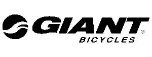 Logo - Schriftzug Giant